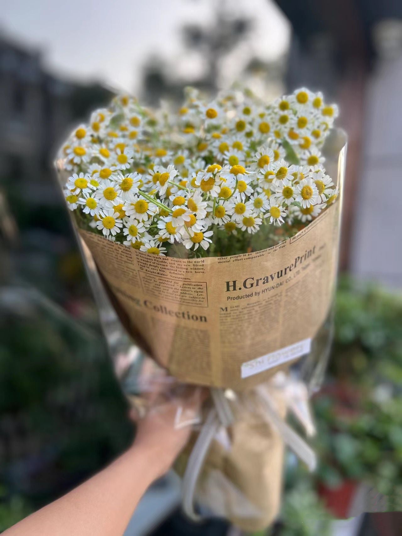 Elegant White Daisy Hand Bouquet