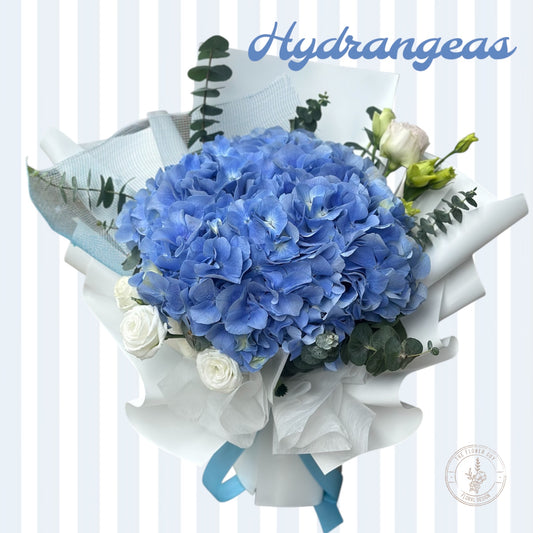 Blue Serenity - 100% Fresh Hydrangea Bouquet